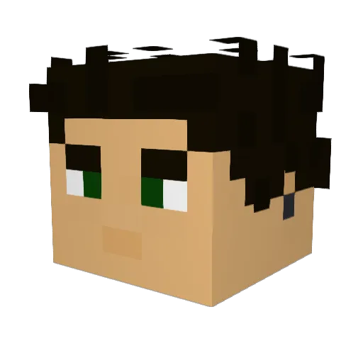 Petro58 Minecraft avatar head, 3D render
