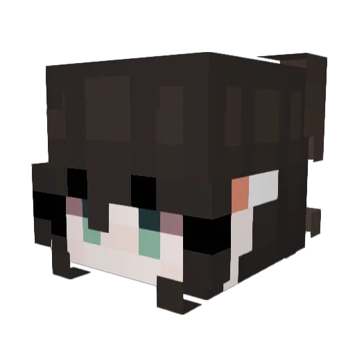 PetruccioFCRC Minecraft avatar head, 3D render