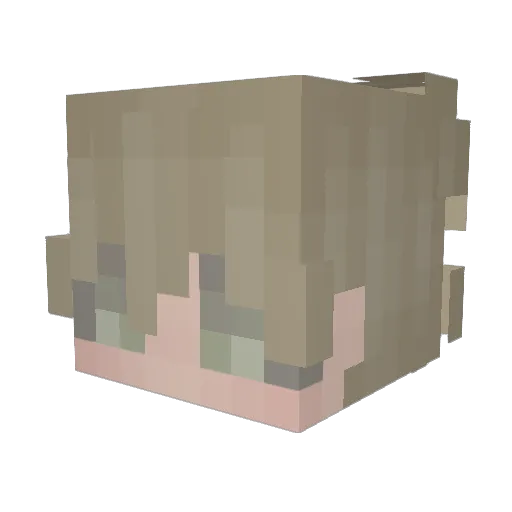 Petruhorse Minecraft avatar head, 3D render