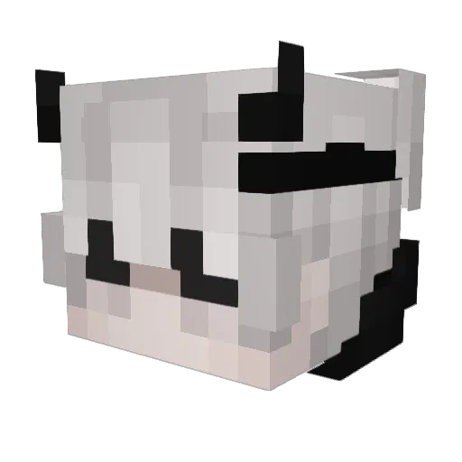 PetrusHans Minecraft avatar head, 3D render
