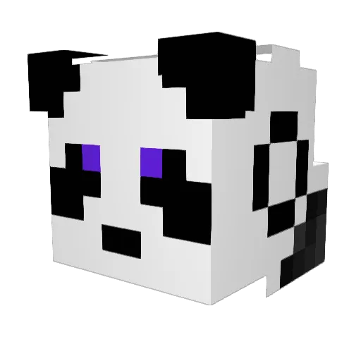 Petrusbenjamin Minecraft avatar head, 3D render