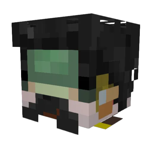 Petrussilius Minecraft avatar head, 3D render