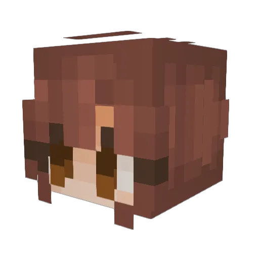 PetsChampion Minecraft avatar head, 3D render