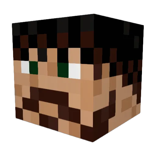 Petsalis11 Minecraft avatar head, 3D render