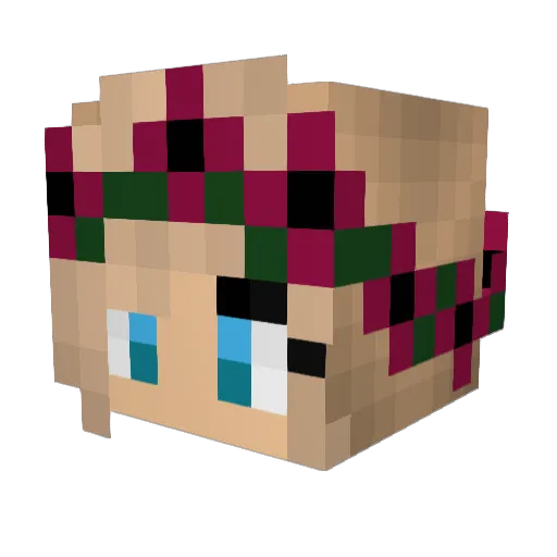 Petter1108 Minecraft avatar head, 3D render