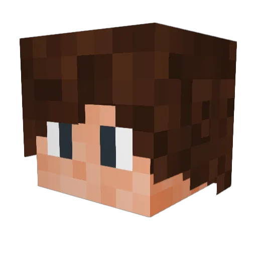 Pettersmart Minecraft avatar head, 3D render