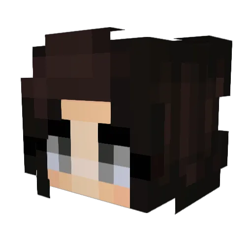 Petticoat Minecraft avatar head, 3D render
