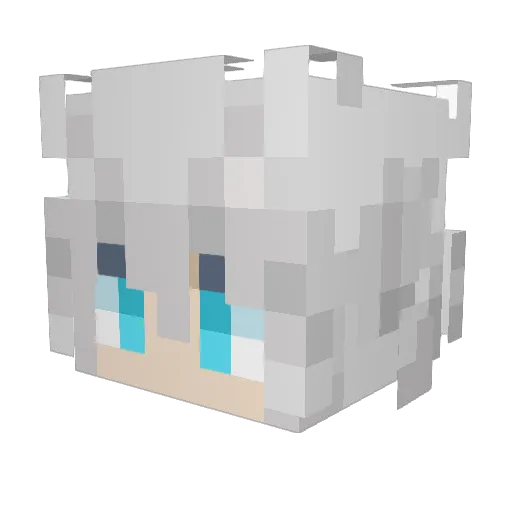 Pettifogging Minecraft avatar head, 3D render