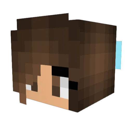 PettyPet101 Minecraft avatar head, 3D render