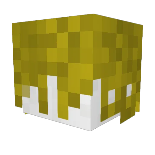 Petukka404 Minecraft avatar head, 3D render