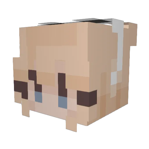 Petunia34 Minecraft avatar head, 3D render