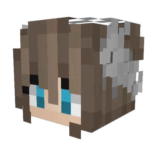 Petunia3759 Minecraft avatar head, 3D render