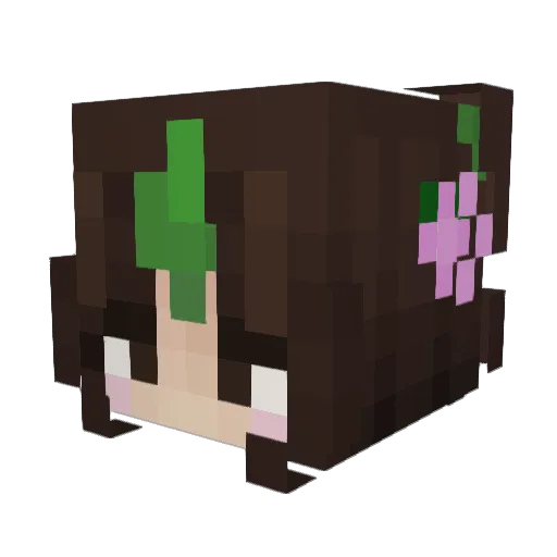 Petunialini Minecraft avatar head, 3D render
