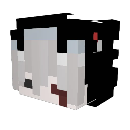 Petyapetya1618 Minecraft avatar head, 3D render