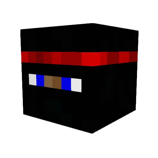 PewPewNinja Minecraft avatar head, 3D render
