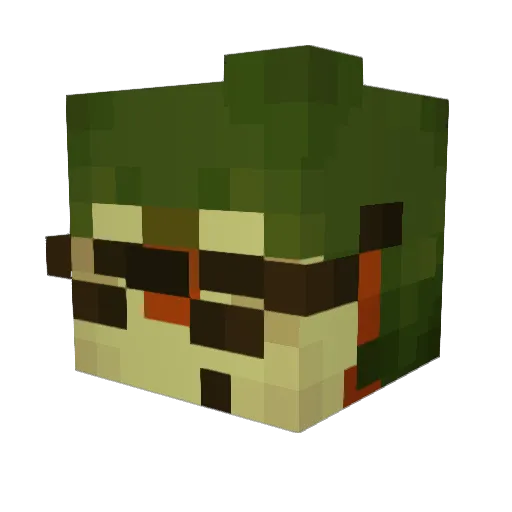 PewienKott_ Minecraft avatar head, 3D render