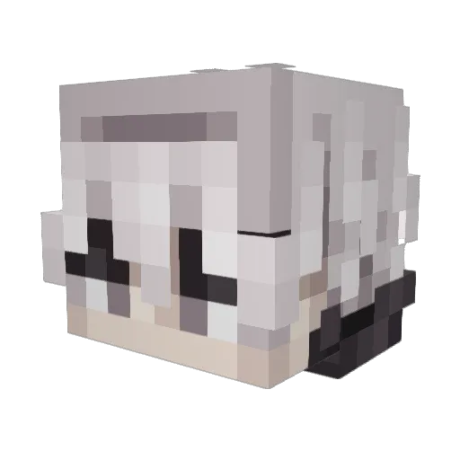 Pewss Minecraft avatar head, 3D render