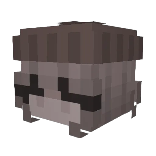 Pexcha0 Minecraft avatar head, 3D render