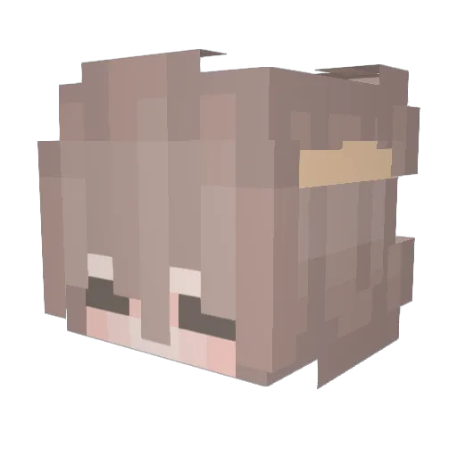 Pexinol Minecraft avatar head, 3D render