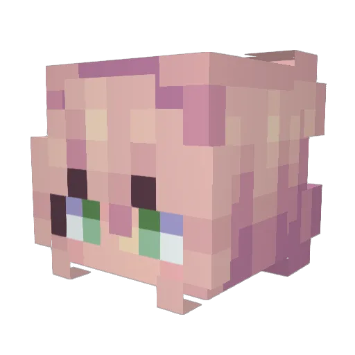 Peydayyy Minecraft avatar head, 3D render