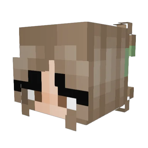 Peydun Minecraft avatar head, 3D render