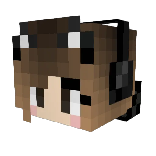 Peypey_ Minecraft avatar head, 3D render