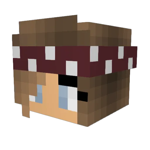 Peyters Minecraft avatar head, 3D render