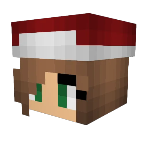 Peyton9102 Minecraft avatar head, 3D render
