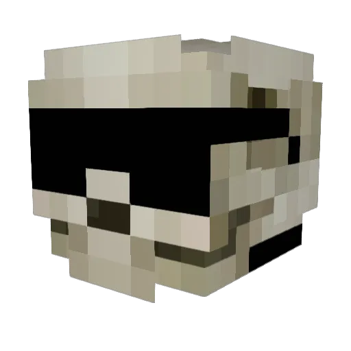 Peytonian55 Minecraft avatar head, 3D render