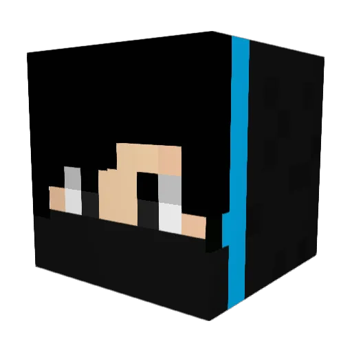 Pfadiii Minecraft avatar head, 3D render