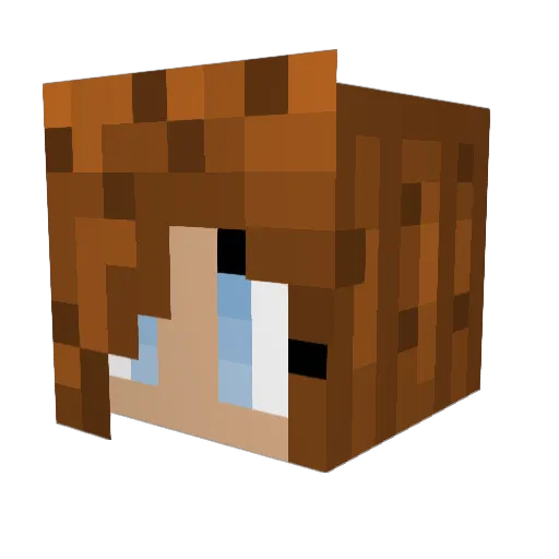 Pferdemaedchen16 Minecraft avatar head, 3D render