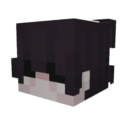 Pfft Minecraft avatar head, 3D render