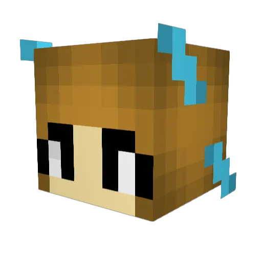 PfiffAmeise48 Minecraft avatar head, 3D render