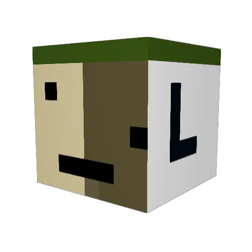 Pfizerbiontech__ Minecraft avatar head, 3D render