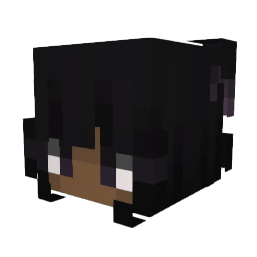 Pfleglich Minecraft avatar head, 3D render