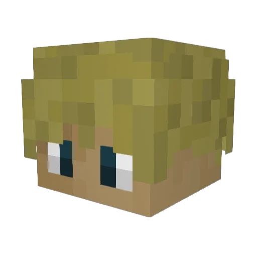 Pflip_ Minecraft avatar head, 3D render