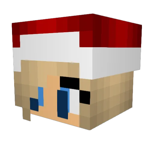 PfostenHDD Minecraft avatar head, 3D render