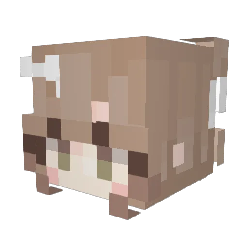 Pfotenbesen Minecraft avatar head, 3D render