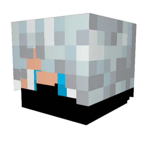 PgGOONS Minecraft avatar head, 3D render