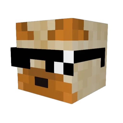 Minecraft-Avatar von PgarrotX2: Kopf als 3D-Render