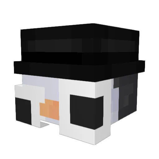 PguinU_ Minecraft avatar head, 3D render