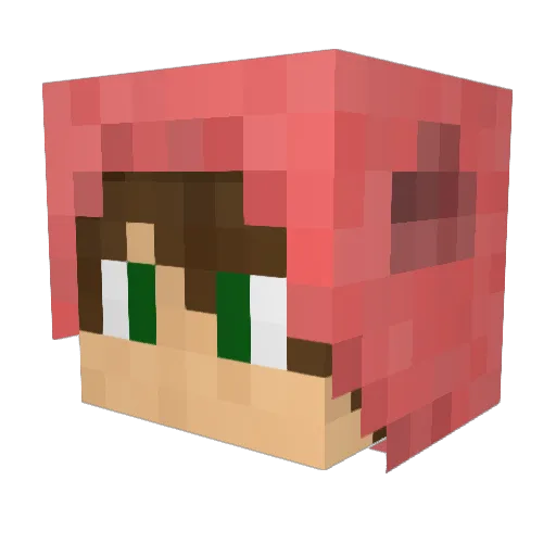 Pgy Minecraft avatar head, 3D render