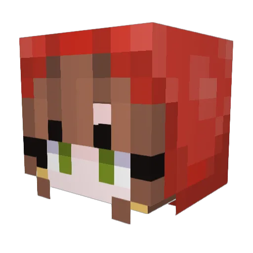 Ph0nky_Fr0g Minecraft avatar head, 3D render