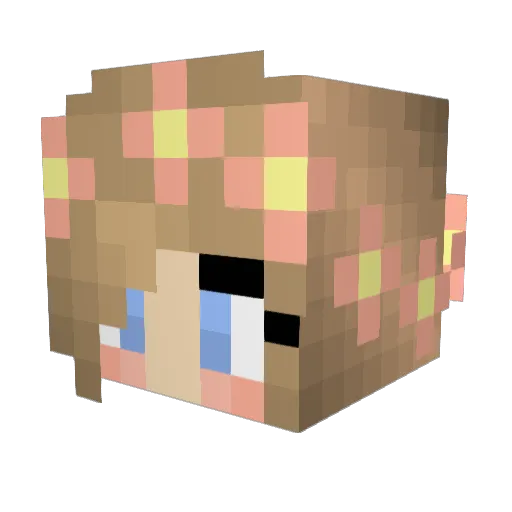 PhDBacon Minecraft avatar head, 3D render