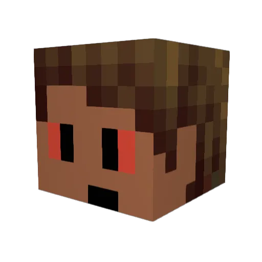 Phael420 Minecraft avatar head, 3D render