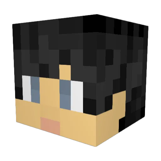 Phaer845 Minecraft avatar head, 3D render