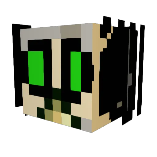 PhaidII Minecraft avatar head, 3D render