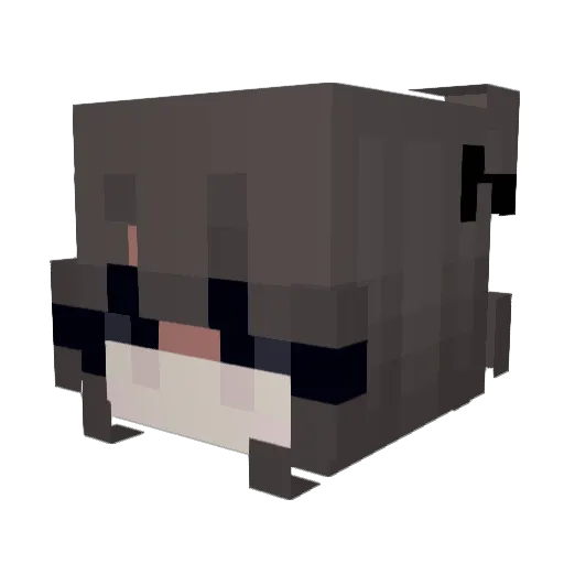 Phakahoo Minecraft avatar head, 3D render