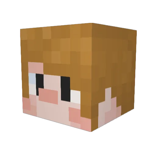 Phalltic Minecraft avatar head, 3D render