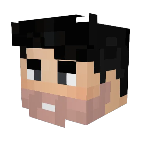 Phambits Minecraft avatar head, 3D render